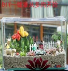 上海清繪園藝養(yǎng)護服務 以專業(yè)匠心，守護城市綠意之美