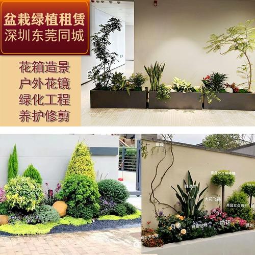 綠意盎然的鵬城與莞城 專業戶外綠化工程與植物租賃服務全解析